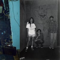 HARRY PUSSY-YOU'LL NEVER PLAY THIS TOWN AGAIN 2XLP