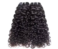 Burmese Curly