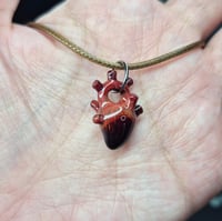 Image 2 of ANATOMICAL HEART PENDANT