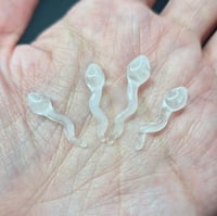 Image 1 of MINI SPERM