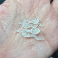 Image 4 of MINI SPERM