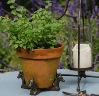 Image 4 of Rustic Horse Pot Feet - Set of 3