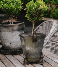 Image 4 of Garden Hare Pot Hugger