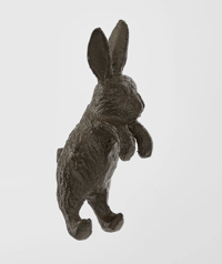 Image 1 of Garden Hare Pot Hugger