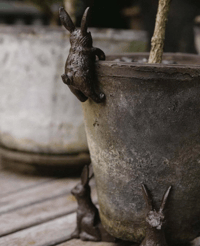 Image 3 of Garden Hare Pot Hugger