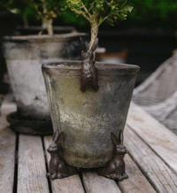 Image 5 of Garden Hare Pot Hugger