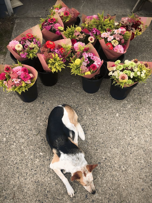 MONTHLY FLOWER SUBSCRIPTION 2026