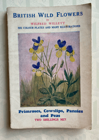 Image 1 of British Wild Flowers by Wilfred Willett: Primroses, Cowslips, Pansies and Peas