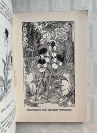 Image 3 of British Wild Flowers by Wilfred Willett: Primroses, Cowslips, Pansies and Peas