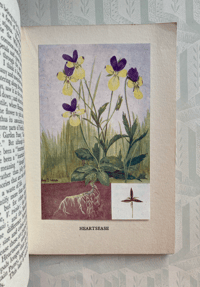 Image 4 of British Wild Flowers by Wilfred Willett: Primroses, Cowslips, Pansies and Peas