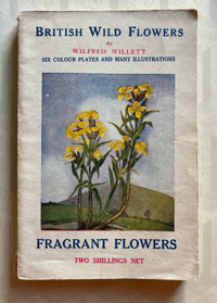 Image 1 of British Wild Flowers by Wilfred Willett: Fragrant Flowers
