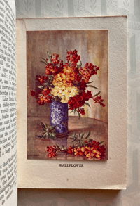 Image 4 of British Wild Flowers by Wilfred Willett: Fragrant Flowers
