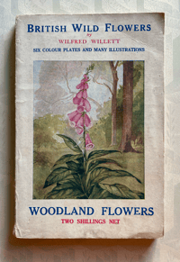 Image 1 of British Wild Flowers by Wilfred Willett: Woodland Flowers