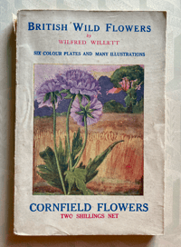 Image 1 of British Wild Flowers by Wilfred Willett: Cornfield Flowers