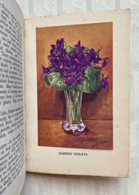 Image 3 of British Wild Flowers by Wilfred Willett: Flowers of Meadow-Banks and ditches