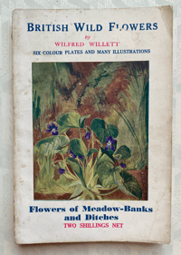 Image 1 of British Wild Flowers by Wilfred Willett: Flowers of Meadow-Banks and ditches