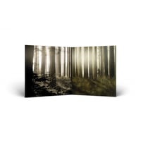 Image 2 of Dahoam Double LP