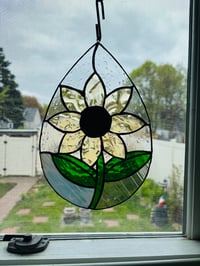 Image 2 of Raindrop sunflower