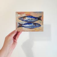 Image 5 of Sardines