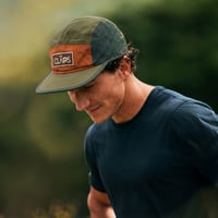 Image 4 of Clapps 5 panel
