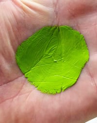 Image 2 of Tattoo Tony Green Powder Pigment 