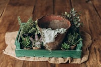 Image 1 of Garten set