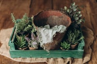 Image 2 of Garten set