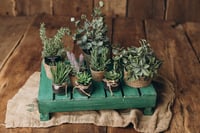 Image 7 of Garten set