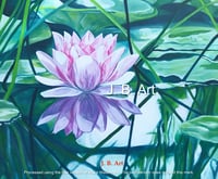Water Lily July Flower - Purity and Joy - Size A5 Glossy Card