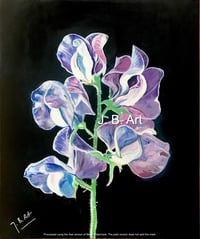 Sweet Pea April Flower - Kindness and Gratitude - Size A5 Glossy cards