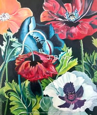 Poppy - August Flower- peace and Integrity - Size A5 Cards