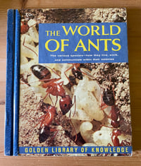 Image 1 of Vintage The World of Ants, 1959