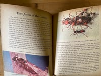 Image 2 of Vintage The World of Ants, 1959