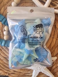 Image 4 of Caspian Sea - A Rockytop Wax Works exclusive custom houseblend fragrance 