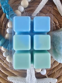 Image 7 of Caspian Sea - A Rockytop Wax Works exclusive custom houseblend fragrance 