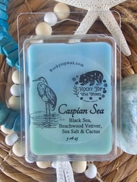 Image 1 of Caspian Sea - A Rockytop Wax Works exclusive custom houseblend fragrance 