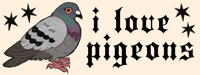 Image 2 of i love pigeons bumper sticker