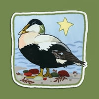 Image 1 of common eider sticker
