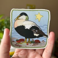 Image 2 of common eider sticker