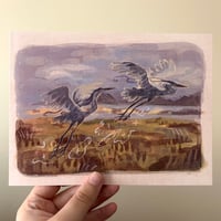 Image 2 of flying herons print