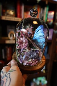 Image 3 of Im gonna spend so much money on antiques during my Seattle trip this weekend