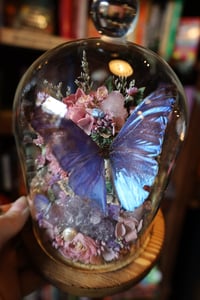 Image 4 of Im gonna spend so much money on antiques during my Seattle trip this weekend