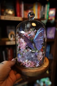 Image 1 of Im gonna spend so much money on antiques during my Seattle trip this weekend