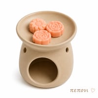 Wax Melt Πεπόνι (Melon) - Χειροποίητο Κερί Σόγιας