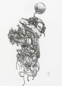 Epiphyte