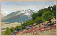 Morning outside Buena Vista ,CO