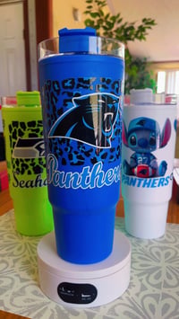 Image 1 of Carolina Panthers