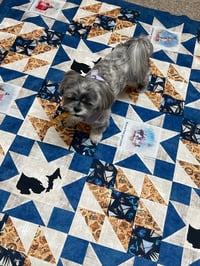 Image 5 of MI Star Around The Block Quilt Pattern Only