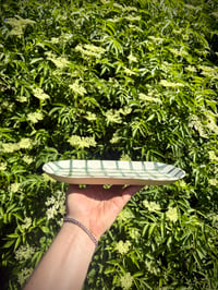 Image 3 of Tray - green plaid