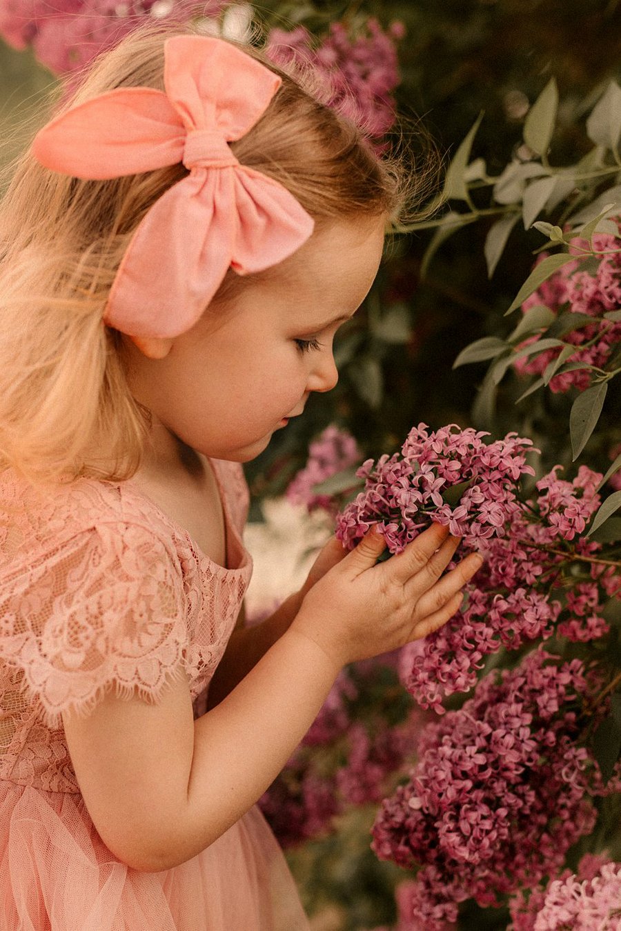 Image of Spring Mini 2026